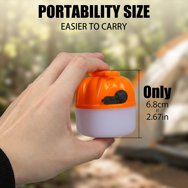 Mini Lampe LED Portable en For - Diy Lamp Electronics avis et prix