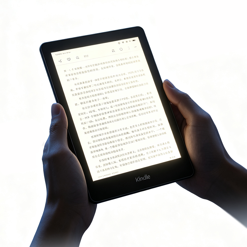 Liseur de livres électroniques - Diy Electronics Book avis et prix